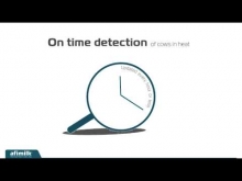 Embedded thumbnail for Afimilk - AfiAct II - The most accurate heat detection solution